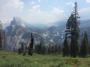 Keep getting better and better